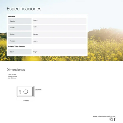 Caja Fuerte Biométrica*