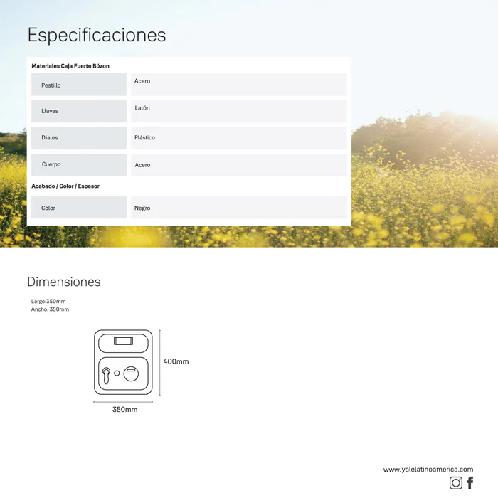 Caja Fuerte Buzón*