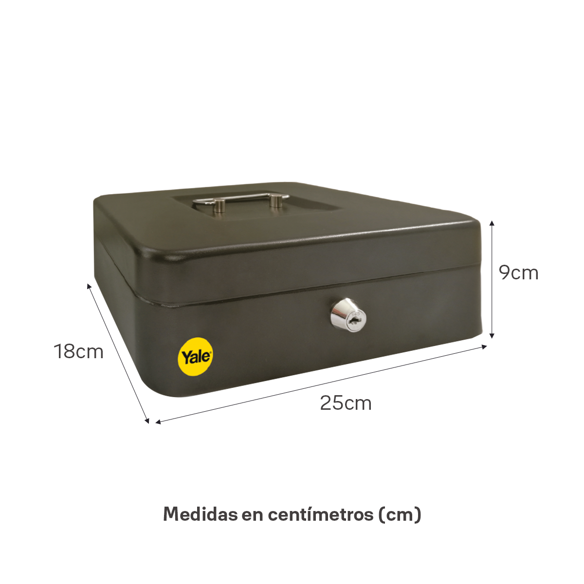 Caja de Dinero Grande