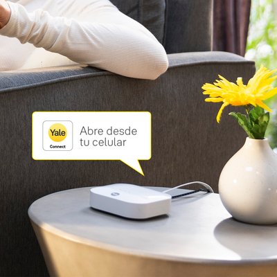Módulo de conexión Yale Connect HUB + Zigbee YMF - YDF*